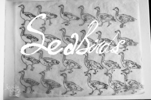 bar-head-goose-walk-frame-by-frame-bg-img1-sea-birds-animation-digital-poster-elephant-room-studio