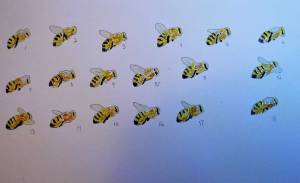 honey bee animation