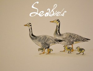 Sea-Birds-Animation-Bar-Headed-Goose-Gosling-Family-elephant-room-studio