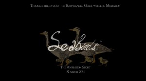 Sea-Birds-digital-promotion-summer-2015-animation-short-elephant-room-studio-goslings