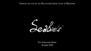 Sea-Birds-digital-promotion-summer-2015-animation-short-elephant-room-studio