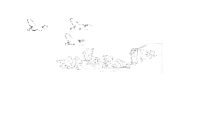 Sea-Birds-Scenes-Coming-Together-animation-short-elephant-room-studio